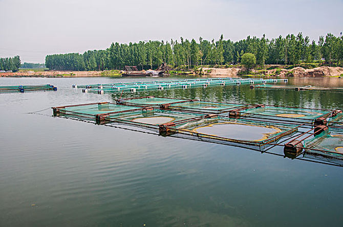 渔业养殖水质检测