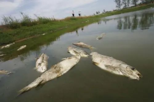 养殖水质检测